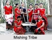 Mishing Tribe of Aasam