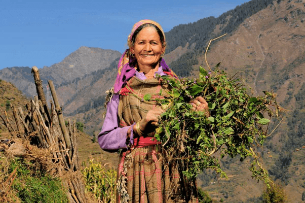 textiles-of-himachal-pradesh