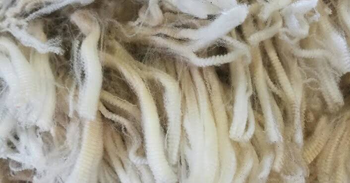 Australian Wool Market Slips as Buyers Scramble for Higher Yielding Lines