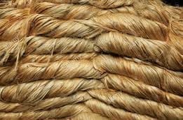 Uncertainties at the commencement of Jute Year