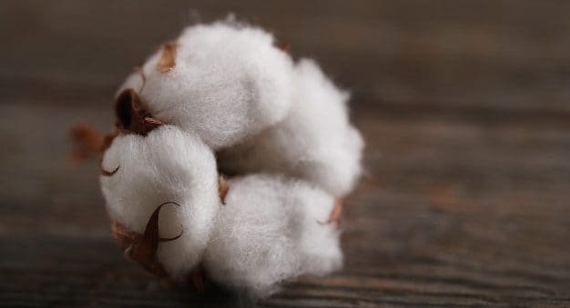Cotton exports from Australia to China are declining