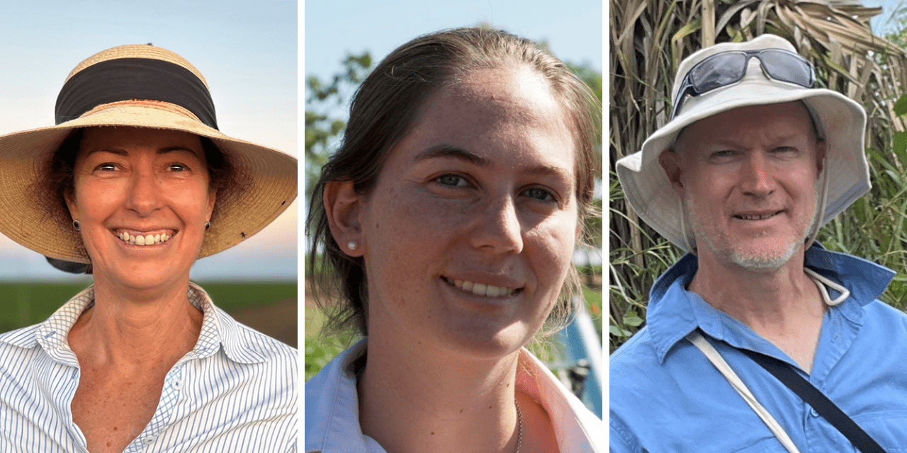 Finalists Announced for 2025 Cotton Researcher of the Year
