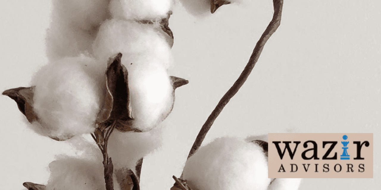 Wazir Advisors Unveils Key Whitepaper on Yarn Realization